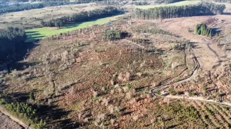 Pontevedra - Tomiño - 20000m2