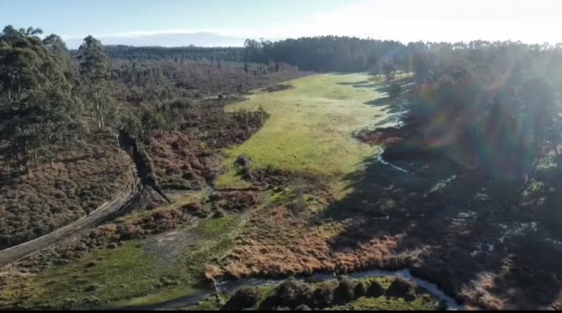 Pontevedra - Tomiño - 20000m2