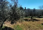 Non-developable land for sale on Calle del Seis de Junio, Valdepeñas, ref: TR386339 photo