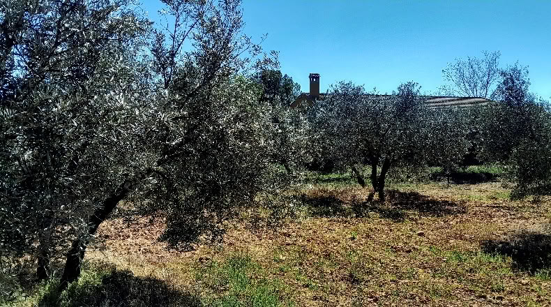 Ciudad Real - Valdepeñas - 8000m2