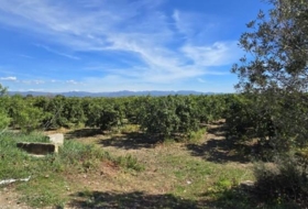 Llíria 13100&nbsp;m² 