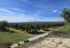 Llíria 13100&nbsp;m² 