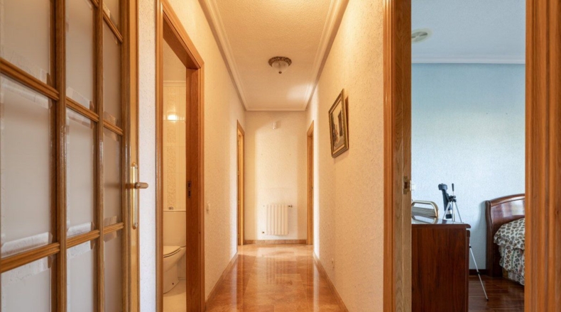 Murcia - Murcia - 2000m2