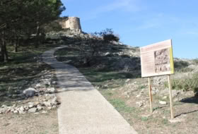 Archidona 15000&nbsp;m² 