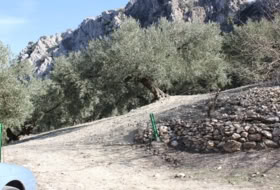 Archidona 15000&nbsp;m² 