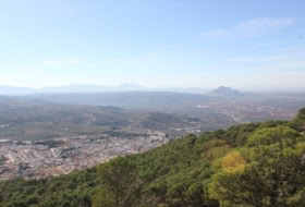 Archidona 15000&nbsp;m² 