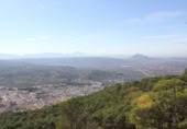 Terreny no urbanitzable en venda a la Camino del Santuario, Archidona, ref.: TR397115 foto