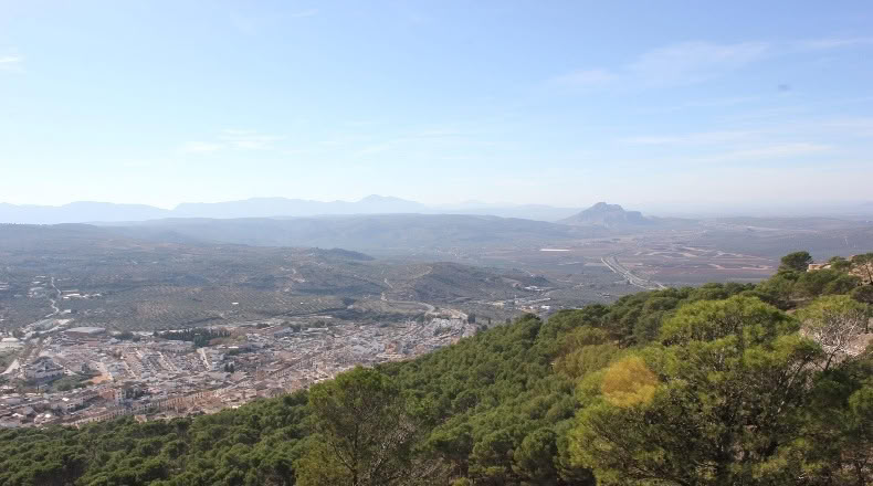 Малага - Archidona - 15000m2