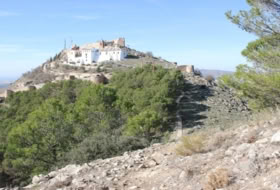 Archidona 15000&nbsp;m² 