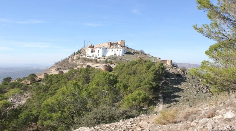 Малага - Archidona - 15000m2