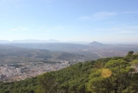 Archidona 15000&nbsp;m² 