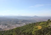 Terreny no urbanitzable en venda a la Camino del Santuario, Archidona, ref.: TR397115 foto