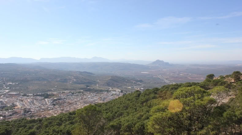 Малага - Archidona - 15000m2