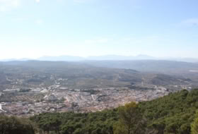 Archidona 15000&nbsp;m² 