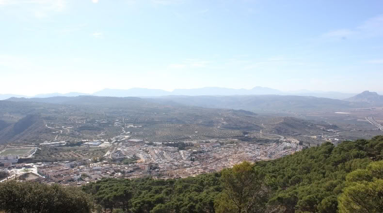 Малага - Archidona - 15000m2