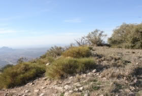 Archidona 15000&nbsp;m² 