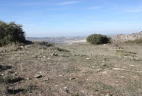 Archidona 15000&nbsp;m² 