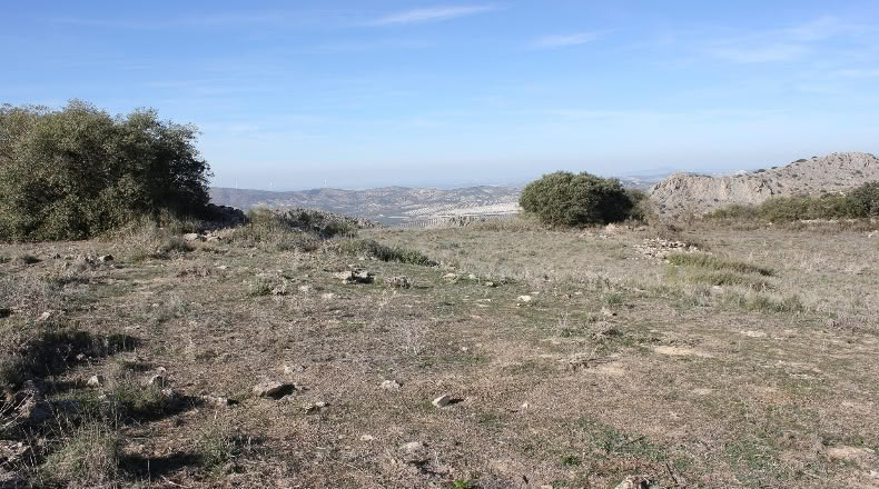 Малага - Archidona - 15000m2