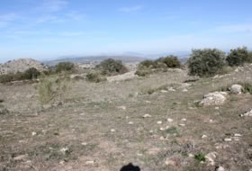 Archidona 15000&nbsp;m² 