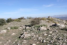 Archidona 15000&nbsp;m² 