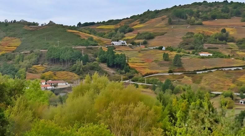 Orense - A Teixeira - 1253m2
