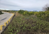 Non-developable land for sale on España, L'Alqueria de la Comtessa, ref: TR401557 photo