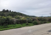 Non-developable land for sale on España, L'Alqueria de la Comtessa, ref: TR401557 photo