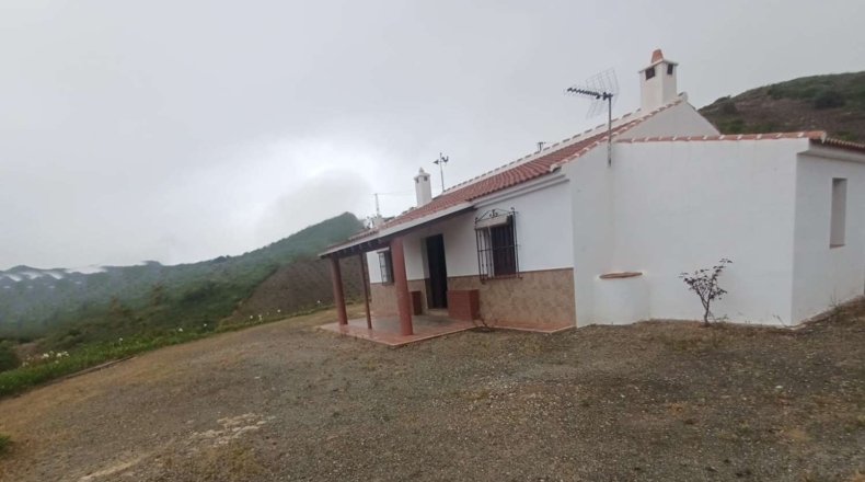 Malaga - Almáchar - 8500m2