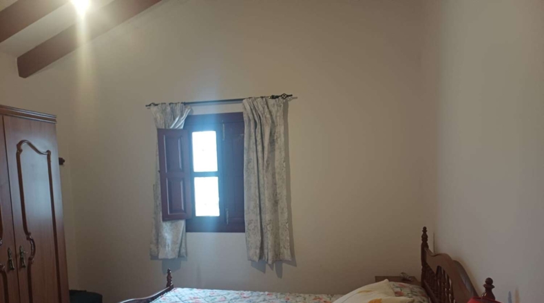Malaga - Almáchar - 8500m2