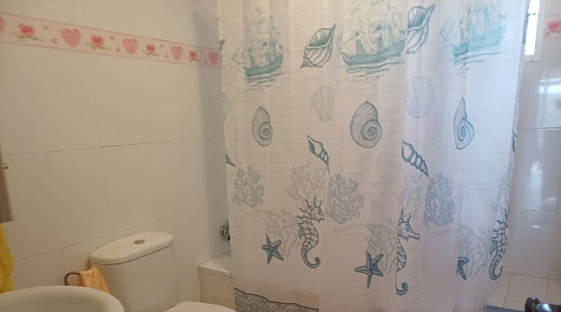 Malaga - Almáchar - 8500m2