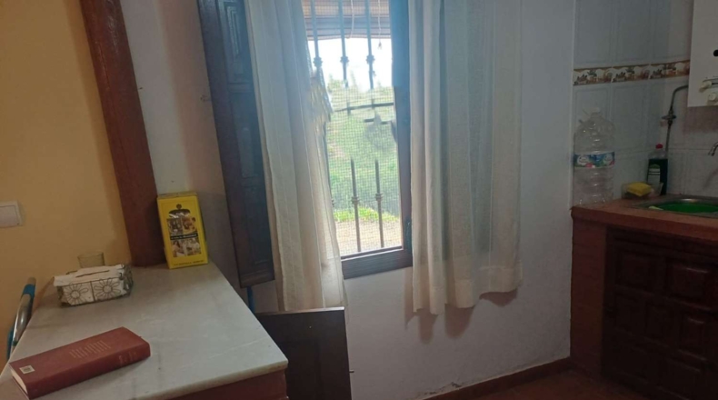 Malaga - Almáchar - 8500m2