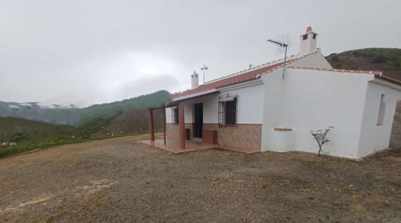 Malaga - Almáchar - 8500m2