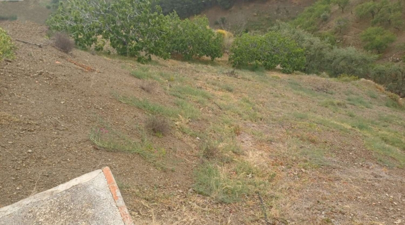 Malaga - Almáchar - 8500m2