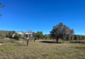 Casa de camp amb terreny en venda a la España, Sorbas, ref.: TR397199 foto