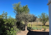 Casa de camp amb terreny en venda a la España, Sorbas, ref.: TR397199 foto