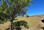 Casa de camp amb terreny en venda a la España, Sorbas, ref.: TR397199 foto
