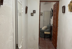 Foto 19