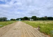 Land suitable for development for sale on Madrid a Cádiz, Jerez, ref: TR397164 photo