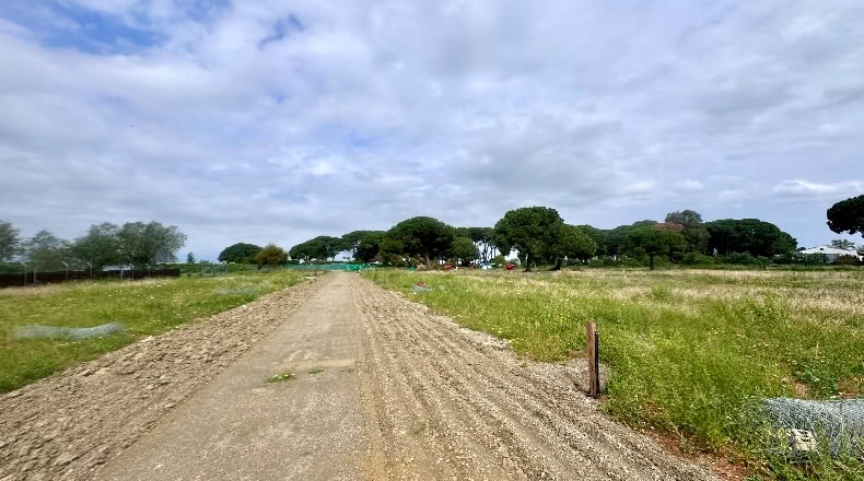 Cádiz - Jerez de la Frontera - 20000m2