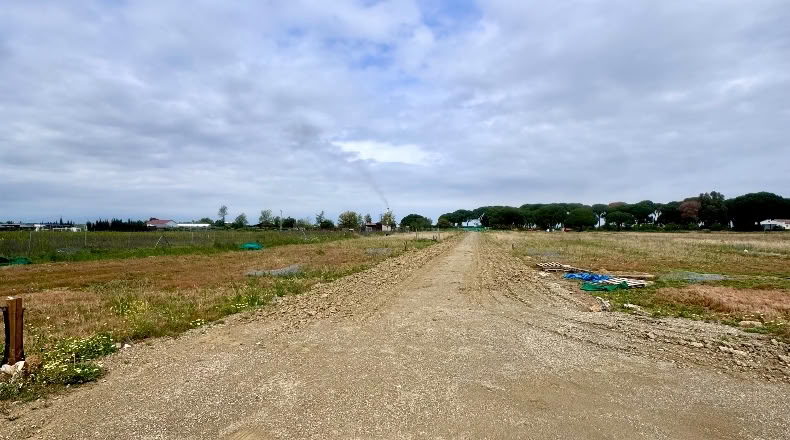 Cádiz - Jerez de la Frontera - 20000m2
