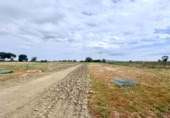 Land suitable for development for sale on Madrid a Cádiz, Jerez, ref: TR397164 photo