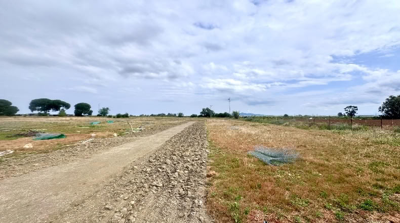 Cádiz - Jerez de la Frontera - 20000m2
