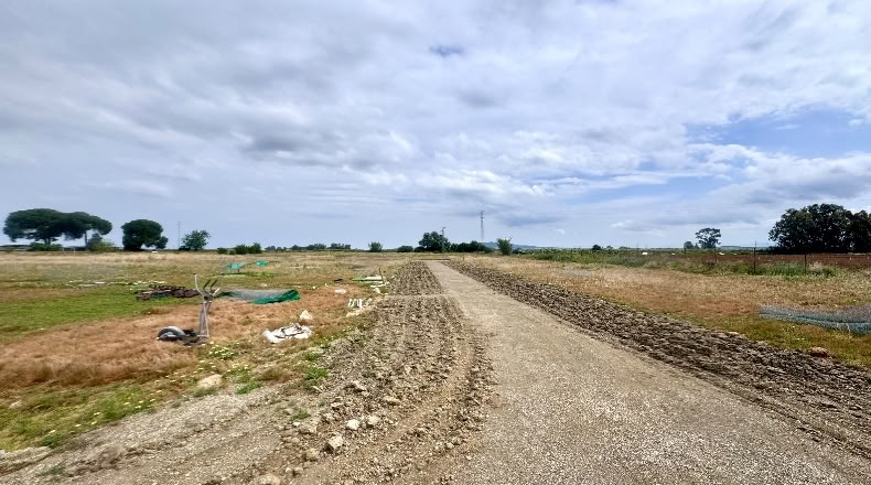 Cádiz - Jerez de la Frontera - 20000m2