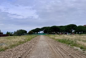 Jerez de la Frontera 20000&nbsp;m² 
