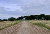 Land suitable for development for sale on Madrid a Cádiz, Jerez, ref: TR397164 photo