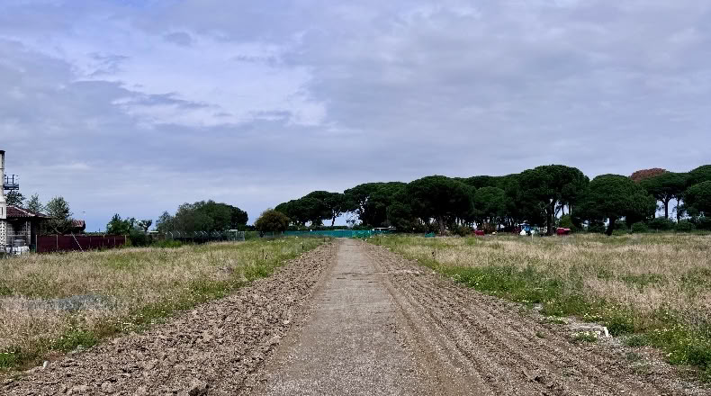 Cádiz - Jerez de la Frontera - 20000m2