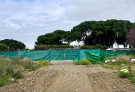 Jerez de la Frontera 20000&nbsp;m² 