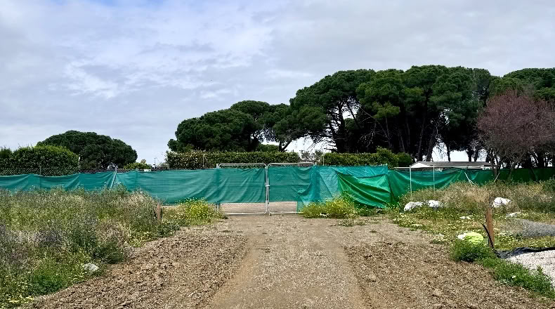 Cádiz - Jerez de la Frontera - 20000m2