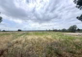 Land suitable for development for sale on Madrid a Cádiz, Jerez, ref: TR397164 photo