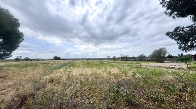 Cádiz - Jerez de la Frontera - 20000m2